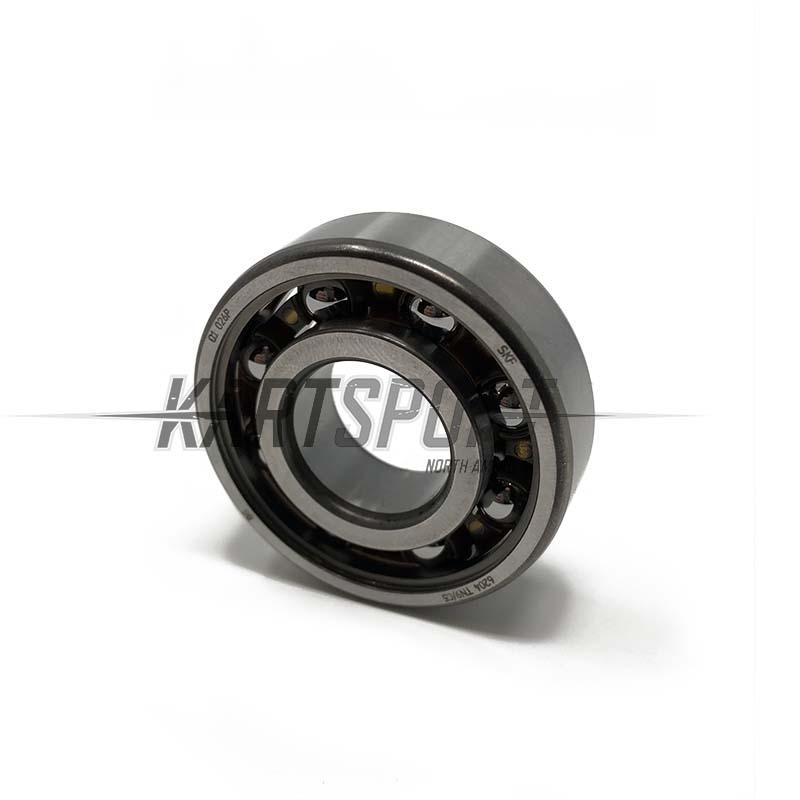 10400-F IAME SSE 175 Ball Bearing SKF 6204 TN9/C5 - $20.38 - IAME - Engines & Parts - KartStore-USA